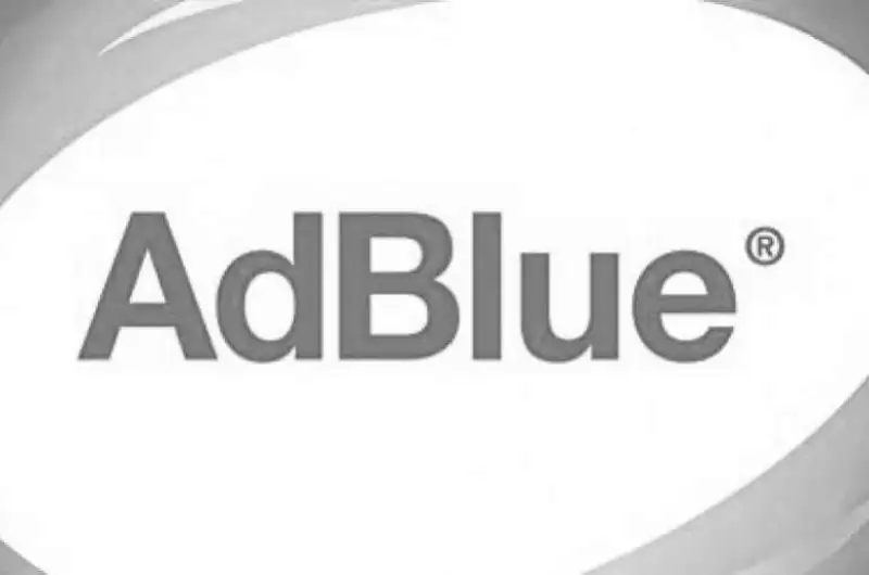 Отключение AdBlue в  Сто Мегасервис